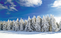 Winterlandschaft