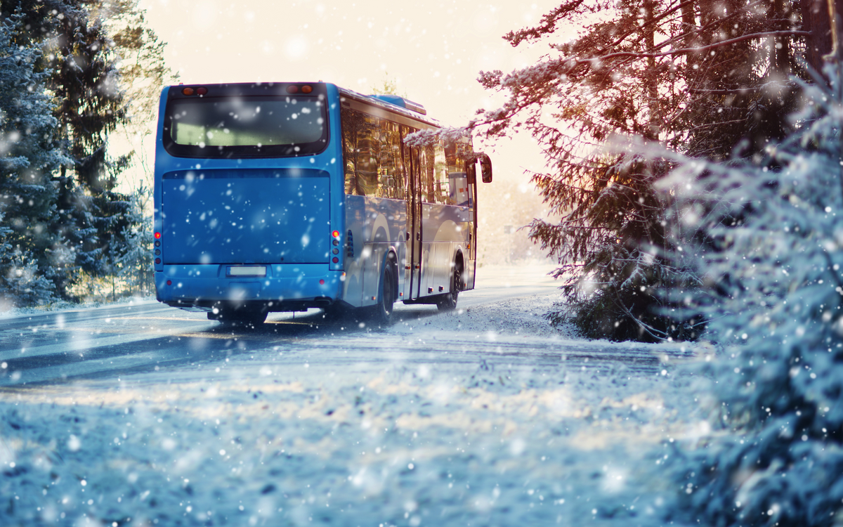 Bus auf Winterstraße durch Nadelwald