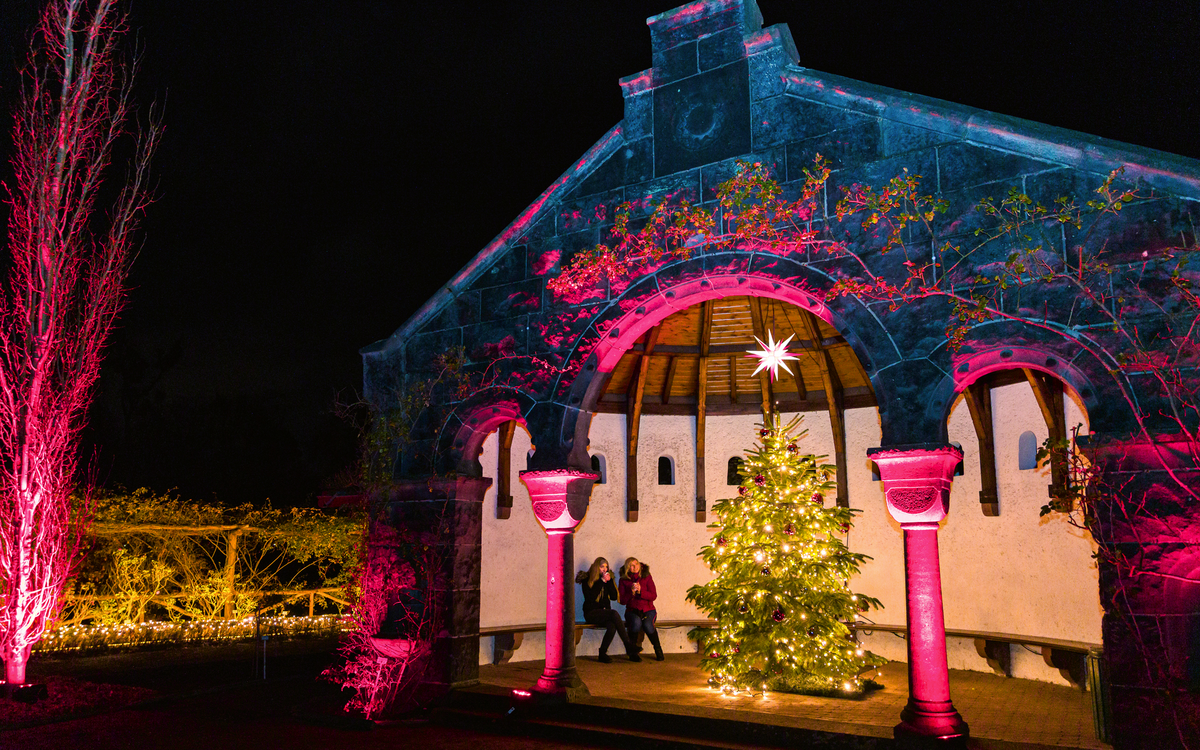 Rosenlaube im Botanischen Garten von Berlin-Dahlem zur Weihnachtszeit, Deutschland