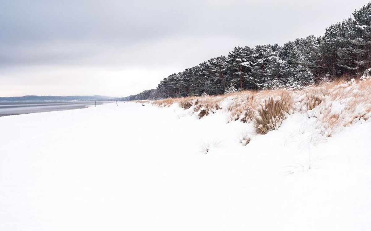 Strand im Winter