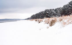 Strand im Winter