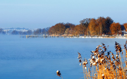 winterlicher Bodensee