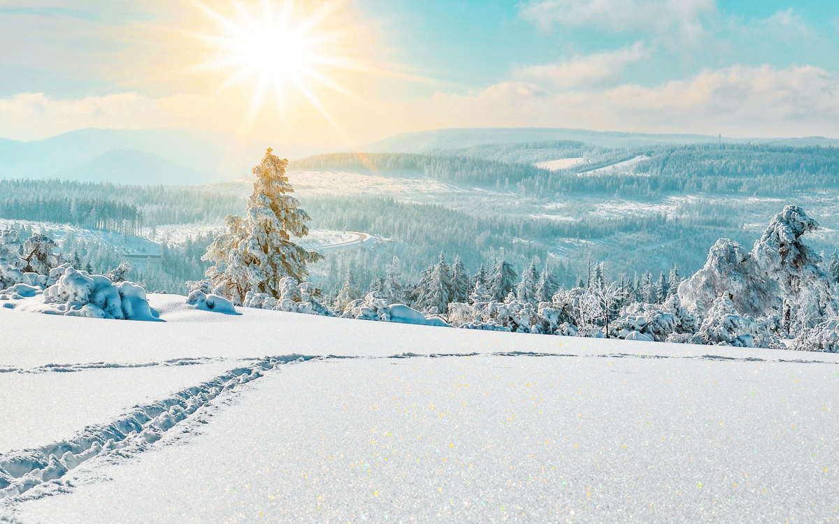 winterlicher Schwarzwald, Deutschland
