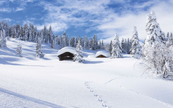 Winterlandschaft