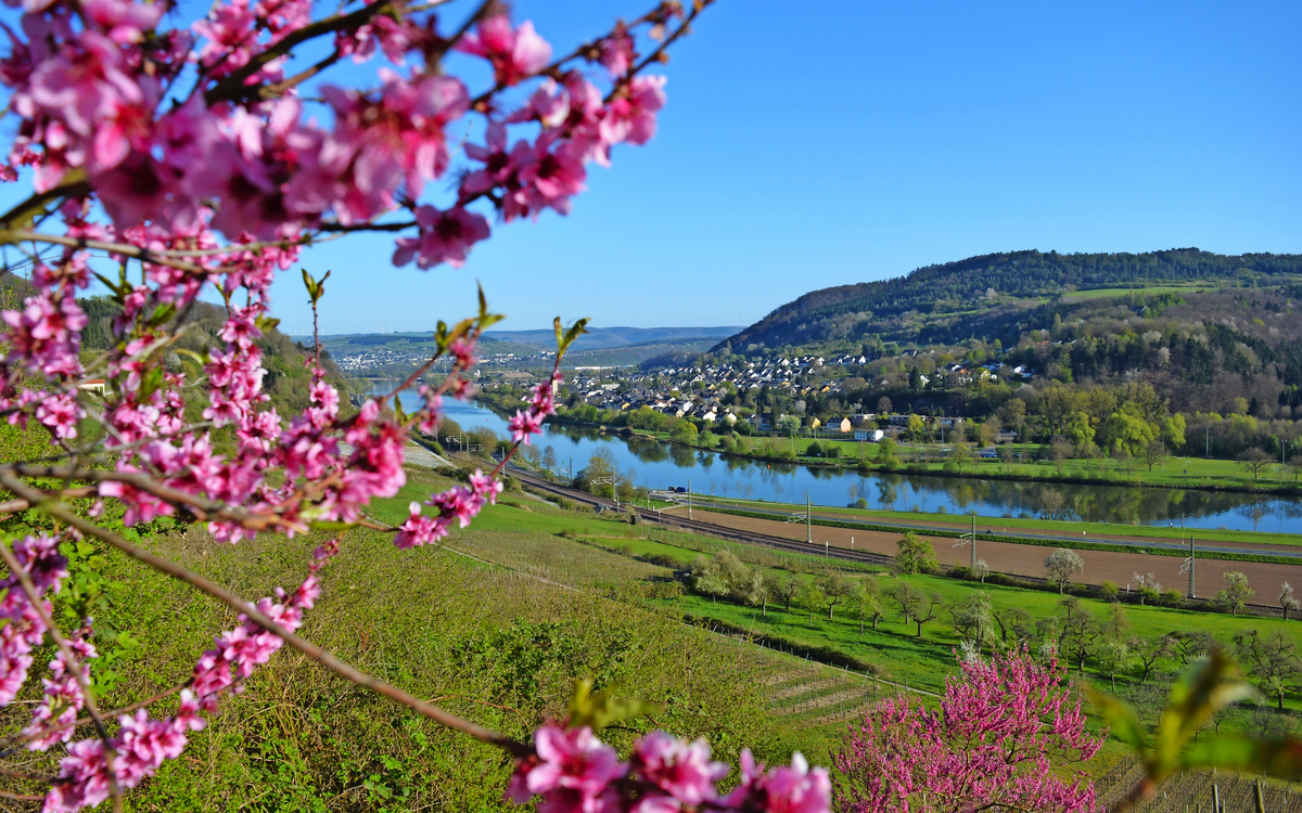 Wasserbilligerbrück an der Mosel