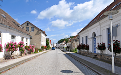 Straße mit Rosenbäumchen, Rosenstadt Putbus, Stadtansicht