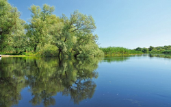 Donaudelta