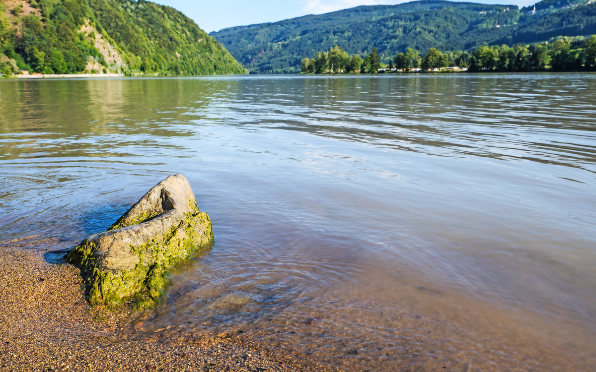 Ufer an der Donau