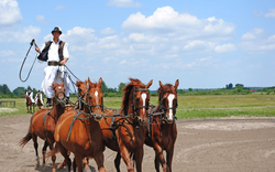 Reiter in der Puszta