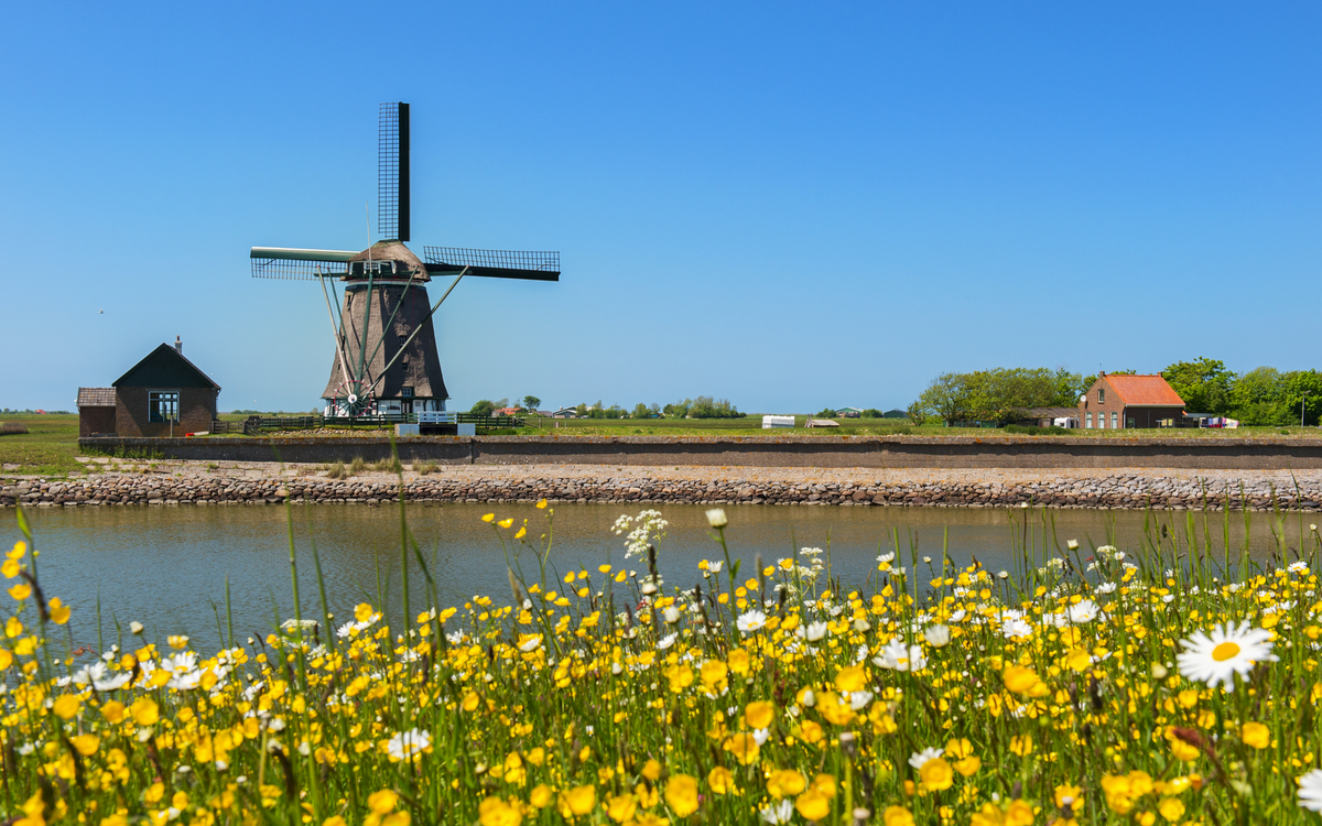 Windmühle auf der niederländischen Insel Texel