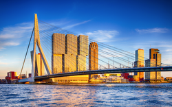 Erasmusbrücke in Rotterdam in den Niederlanden