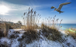 Ostsee