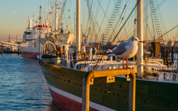 Hamburger Hafen, Deutschland