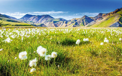 Landmannalaugar, Island