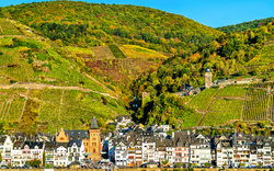 Zell (Mosel)