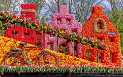 Keukenhof in den Niederlanden