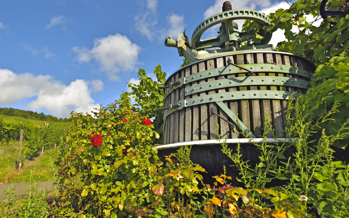 Weinpresse
