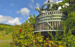 Weinpresse