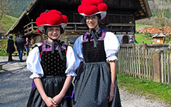 Vogtsbauernhöfe Gutach