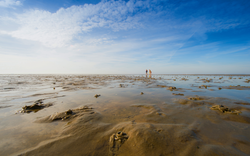 Weites Wattenmeer