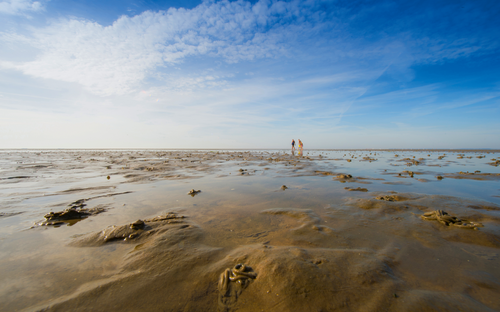 Weites Wattenmeer