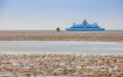 Weites Wattenmeer