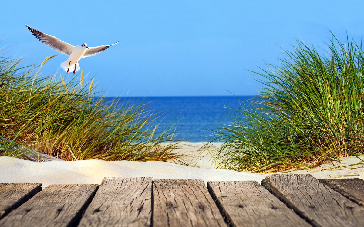 Ostseestrand