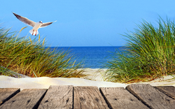 Ostseestrand