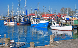 Hafen von Burgstaaken auf der Urlaubsinsel Fehmarn