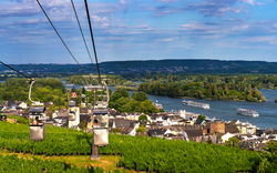 Blick auf die Weinberge von der Seilbahn am Niederwalddenkmal in Rüdesheim