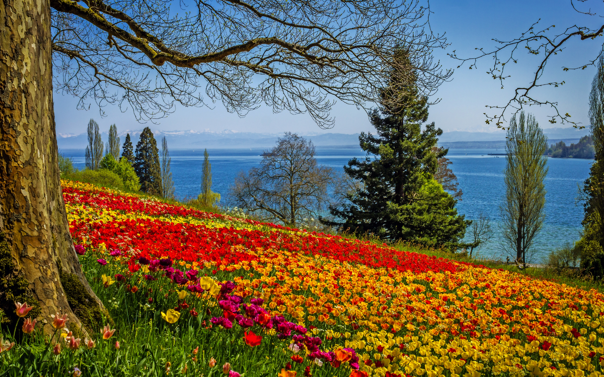 Insel Mainau