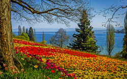 Insel Mainau