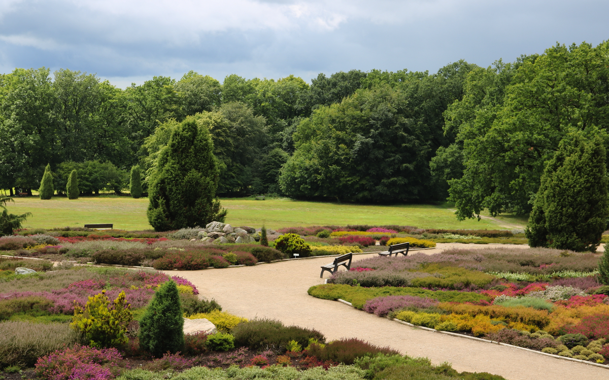 Landschaft in der Lüneburger Heide im Heidegarten Schneverdingen