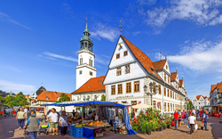 Celle