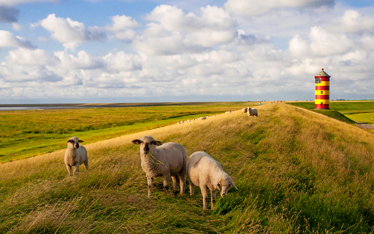 Ostfriesland