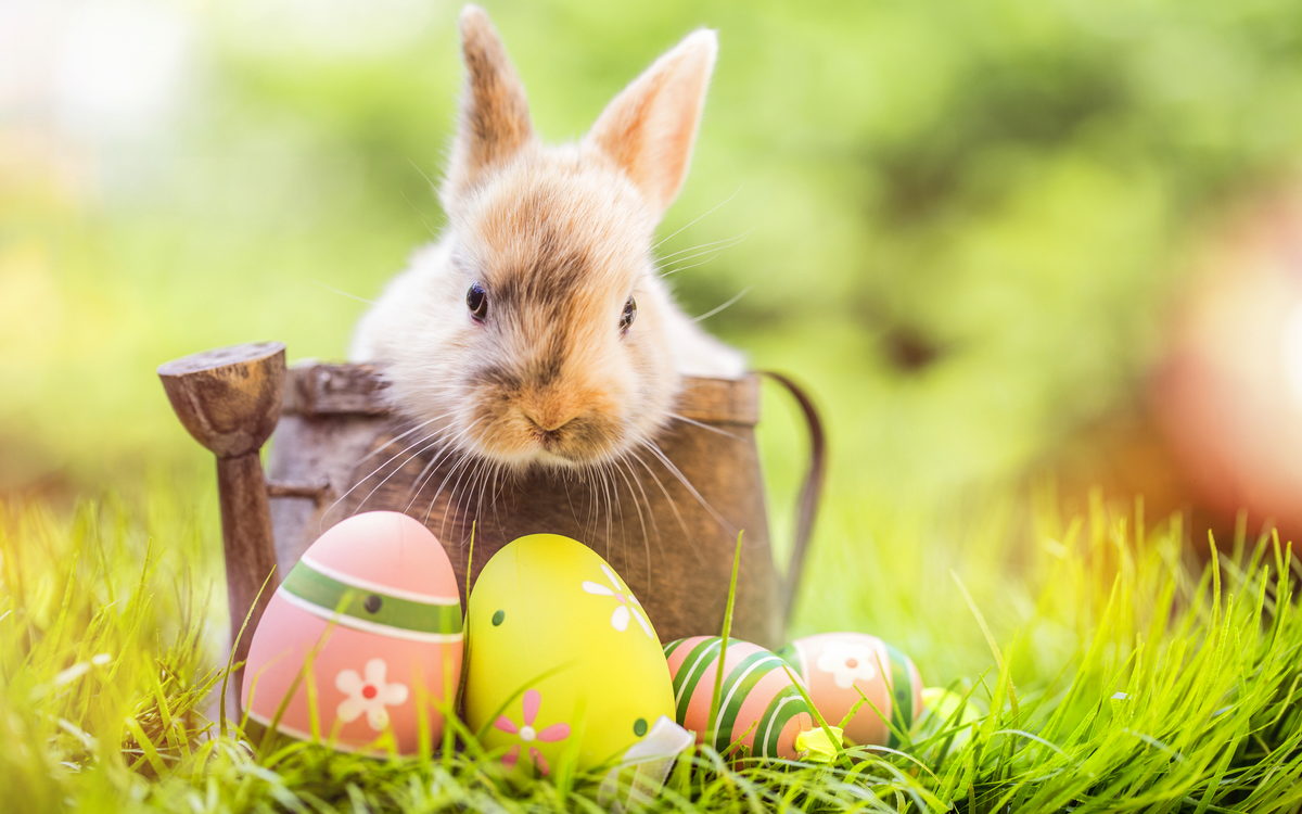 Frohe Ostern
