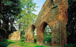 Klosterruine Eldena