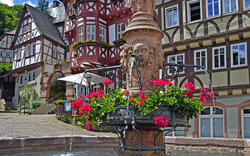 Brunnen am Marktplatz in Miltenberg