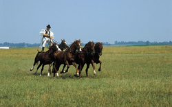 Reitvorführung