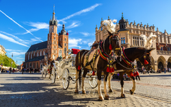 Pferdewagen am Hauptplatz in Krakau