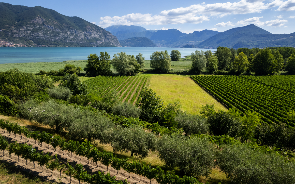 Landschaft von Franciacorta und Iseosee in der Lombardei