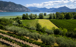 Landschaft von Franciacorta und Iseosee in der Lombardei