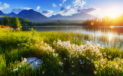 Bergsee im Nationalpark Hohe Tatra nahe Štrbské Pleso