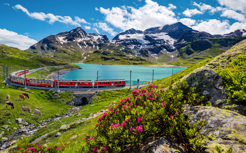 Bernina Express