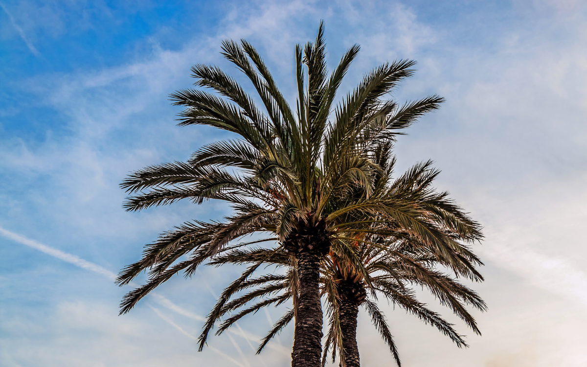 Strand von Pineda De Mar