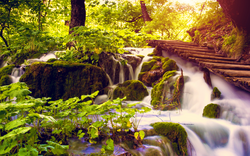 Nationalpark Plitvicer Seen in Dalmatien, Kroatien