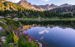 Estany Primer de Pessons in Andorra